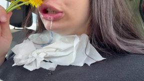 Sneezing Nonstop After Smelling This Flower