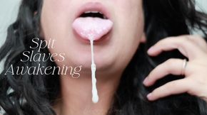 Spit Slaves Awakening