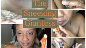 The Sneezing Giantess blows snot on you