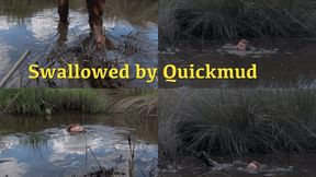 Swallowed by Quickmud, 2022-04-23