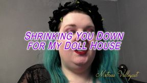 Shrinking You Down for My Doll House