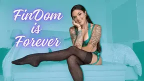 FinDom is Forever