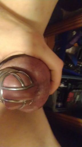 Sissy cock in chastity ready to explode