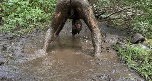 MUD THING GETTING FUCKING DIRTY !