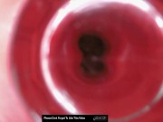 Why I Dont Use A Gopro For Cockblock Frot Intimaly Tsanna The Doll Close Up