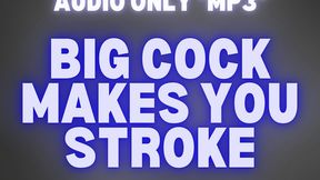 BIG COCK MAKES YOU STROKE *MP3 AUDIO ONLY*