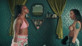 Boxer vs Wrestler (4k)