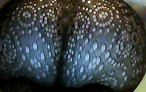 fat tranny ass in pantyhose