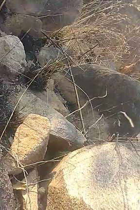 Indian boy masturbation outside