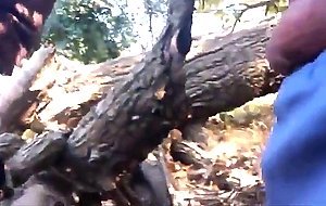 Cruising in a Spanish Forest