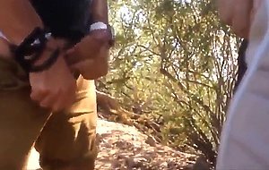 Cruising in a Spanish Forest