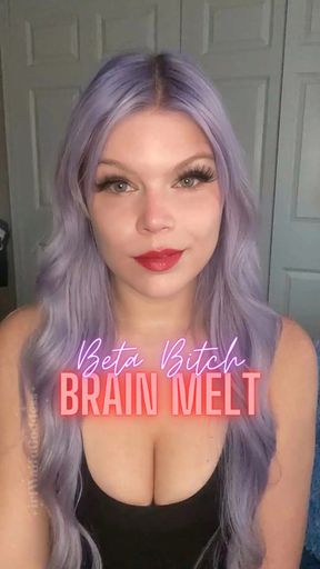 Beta Bitch Brain Melt