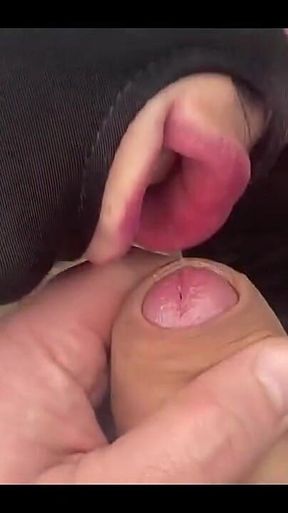 Outdoors Oral Sex
