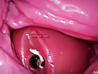 Camera in Snatch, Cervix POV, Small Cucked by Massive ‘Pair’, Cum in Cum drum and Creampie - Full Episode