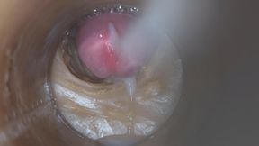 Precum in my pussy Camera In Vagina 4k