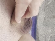 Polla caliente en la playa