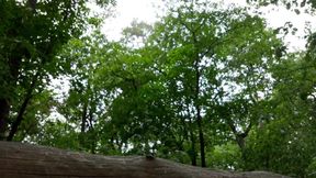 Am 19.06.2018 - Nackt im Wald