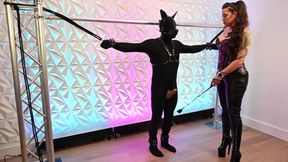 Latina Mistress Goon Trains Puppy Cock Edge to Gushing Ruin Leak