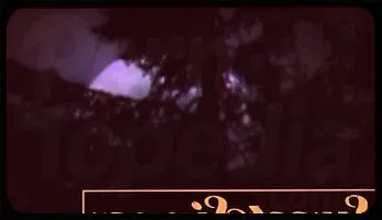 Sultry Blonde Seduces Boyfriend, Shaved Pussy, Mom's Boyfriend Fling - Sweet Sinner Porn 2026 edition