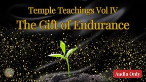 Temple Teachings Vol IV: The Gift of Endurance Audio Only
