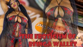 The  Eroticism Of Being A Wallet