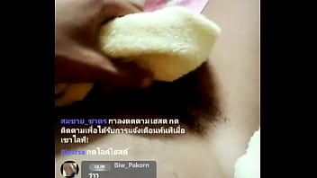 ไก่ของฉัน