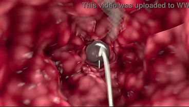 DerekSFM - The Unexpected Shower - Cartoon Gay Legendado