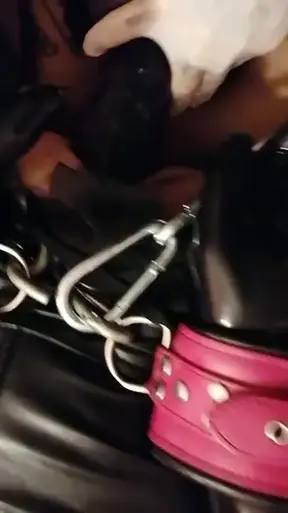 Die #schlampe hatte heute ihr erstes Mal und kein Scherz, beim nächsten Mal kann ich die #arschfotze #fisten 🎇 #ladyvampira #domina #strapon #pegging #hogtiedbondage #hogtied #boundandgagged #latex #…