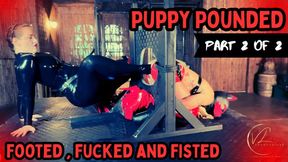 Puppy Pounded - Part 2 of 2 - Double Fisted, Fucked and Footed by Vivienne l'Amour (720p)