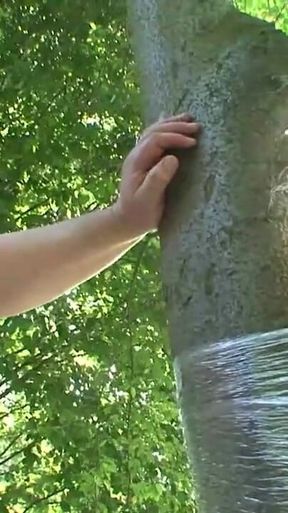 Humiliates wrapped in foil in the forest