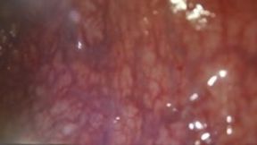 anal vore  - POV: Trapped Inside Her Body, Overwhelmed by Size, femdom, giantess, shrinking fetish 1080