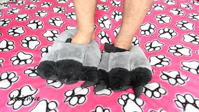 tender slippers