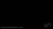 SPILLING Out My CK Bra - Tit Worship, Big Tits, Boob Bouncing - Goddess Marley