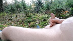 Outdoor masturbation