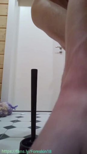 My twink fucks on the toilet brush