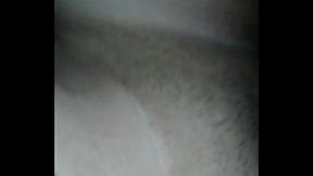 excitada