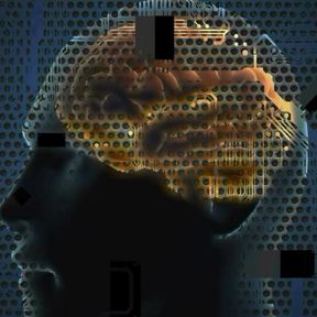 Breaking Toys: Brain Modification