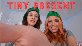 Tiny Present (wmv)