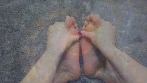 Pleasure in Payment (Feet) (Captivate)