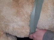 Cumming on my Teddy Bears ass