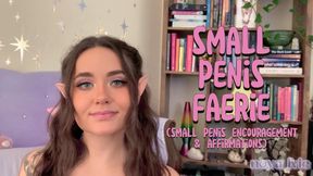 small penis faerie