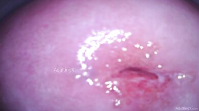 Camera stuffed deep in my dripping gape while I talk dirty