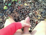 Outdoor cumshot on dry leaves ( autumn outdoor )