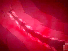 Tender Memory under the shadow inside the dream