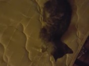 Veronica Way - Fidget Spinner on Dick
