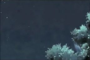 Anime Love Story