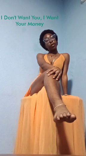 I Don't Want You, I Want Your Money
