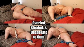Overfed, Bloated, & Desperate to Cum