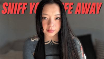 Sniff Your Life Away