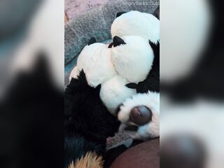 Fur Puppy Voz makes a mess without SJ